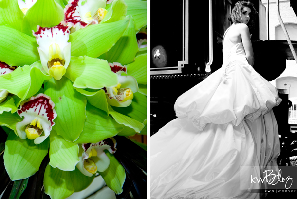fashion photography