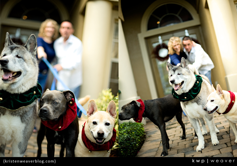 family photography