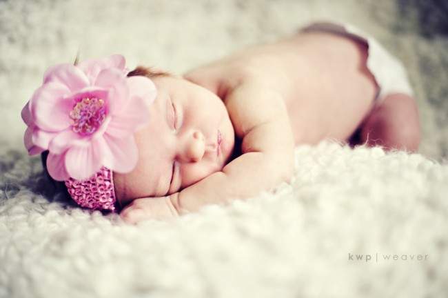 KWP_7158 KWP_7158
