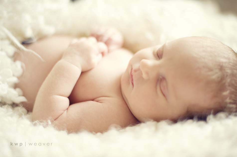 plus one maternity photography