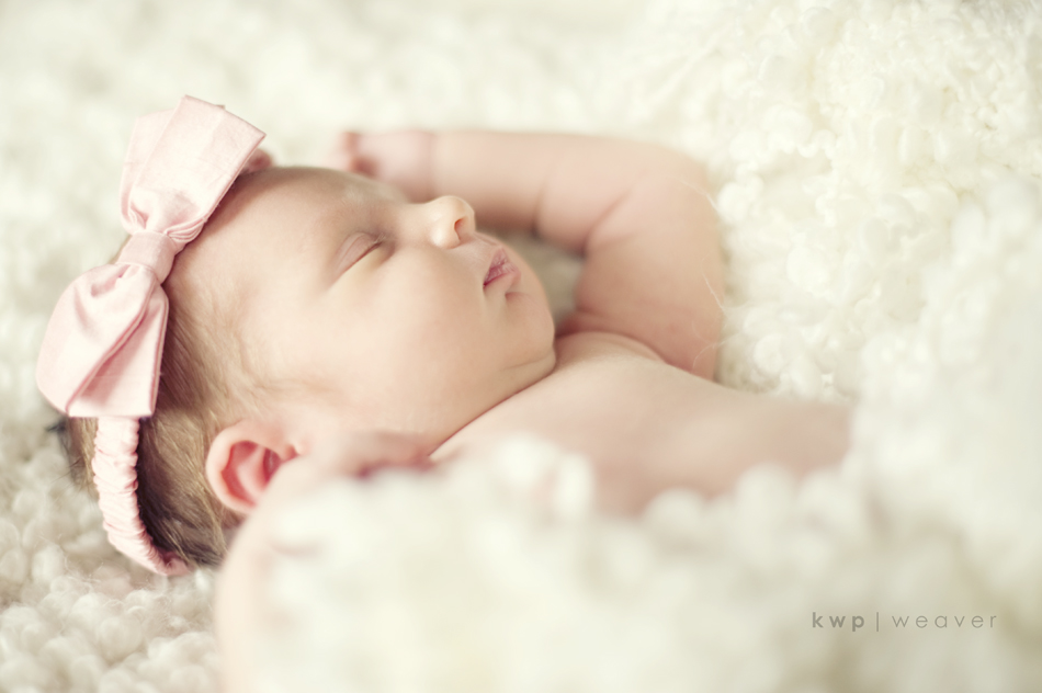 plus one maternity photography