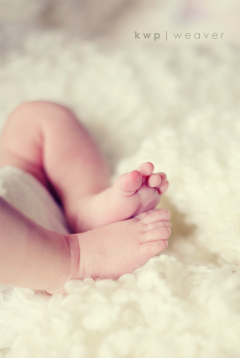 plus one maternity photography