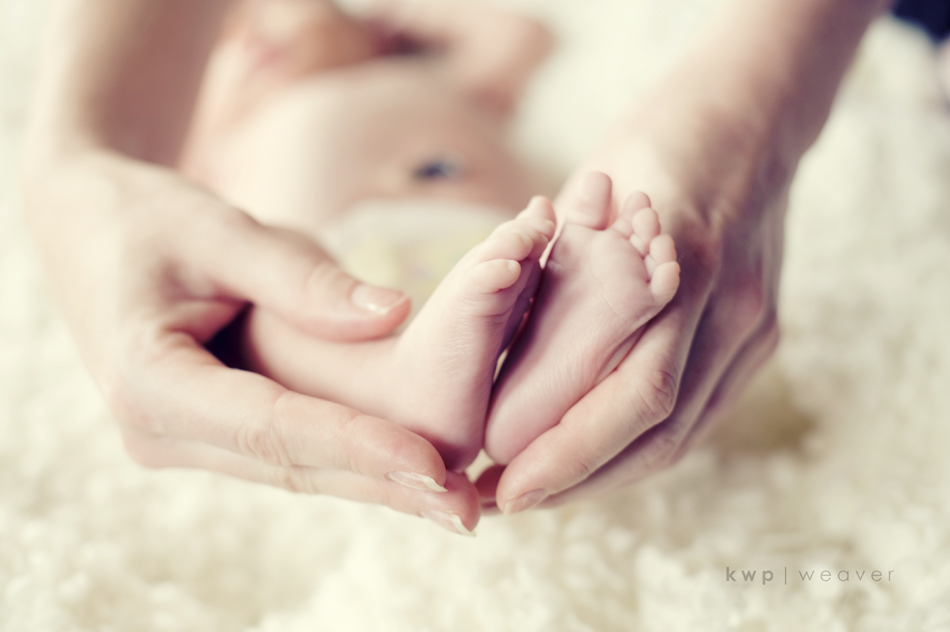 plus one maternity photography