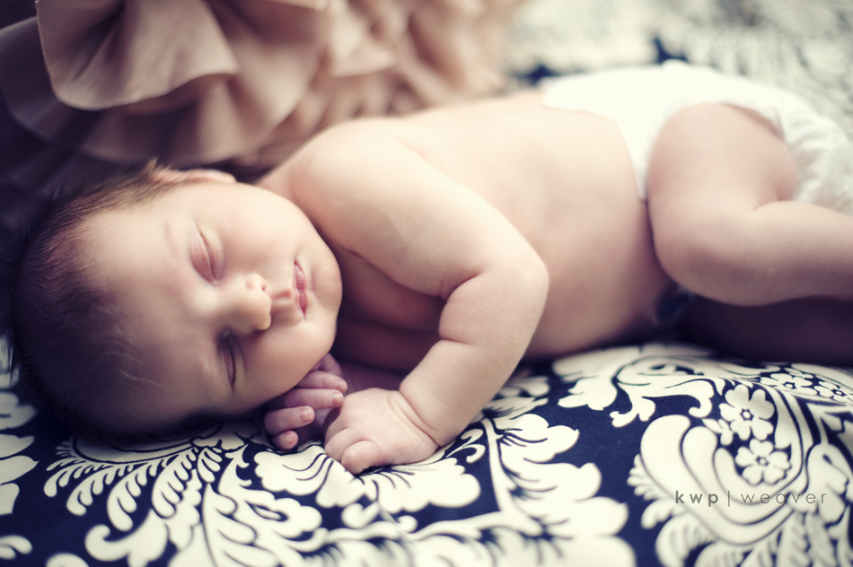 plus one maternity photography