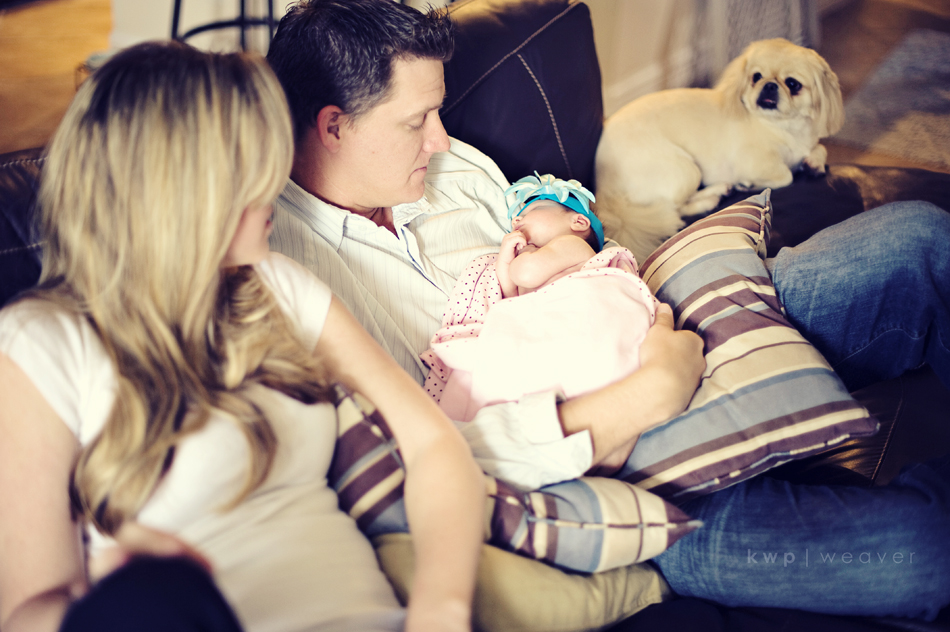 plus one maternity photography