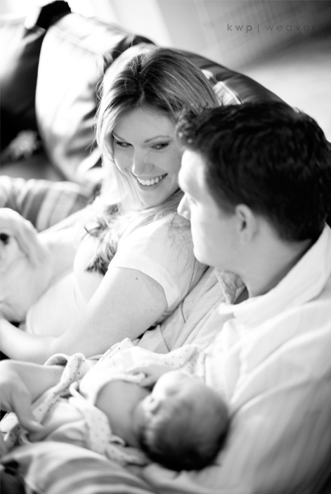 plus one maternity photography