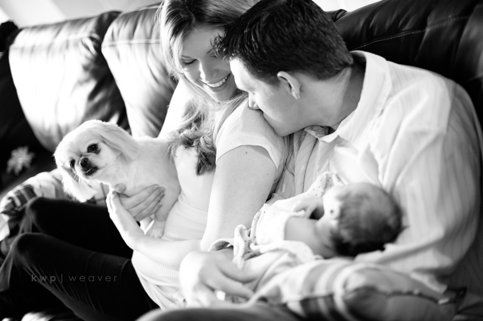 plus one maternity photography