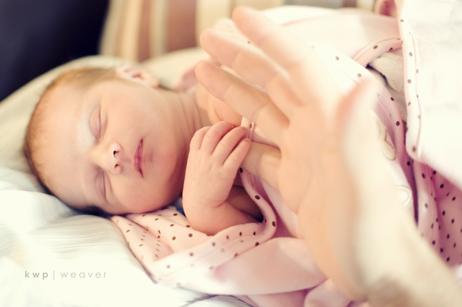plus one maternity photography