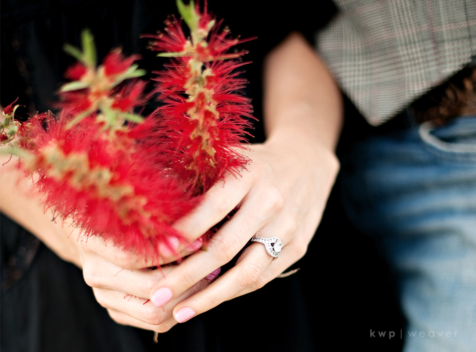 engagement photography engagement photography