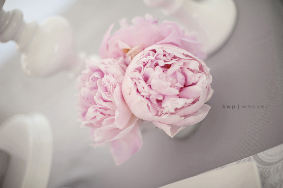 weddings press bridal  photography