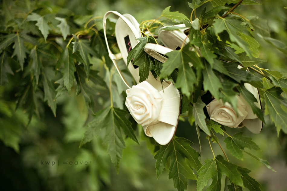 weddings photography