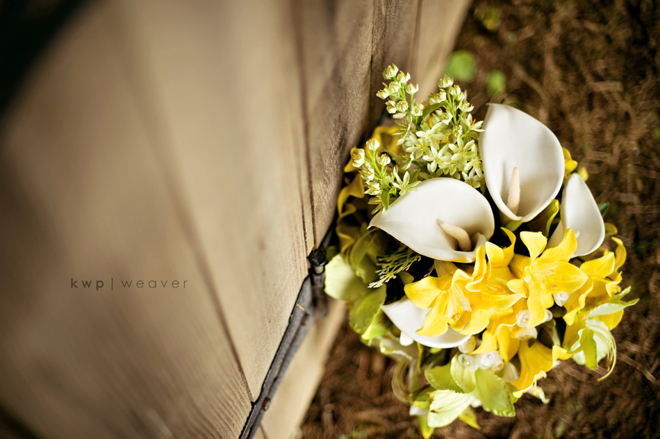 weddings photography