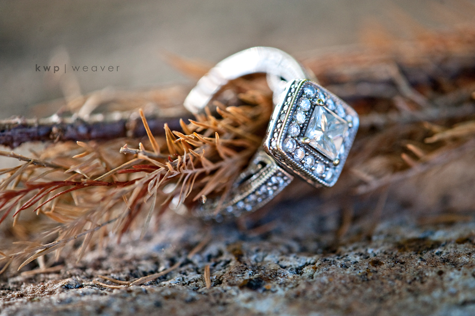 engagement photography engagement photography