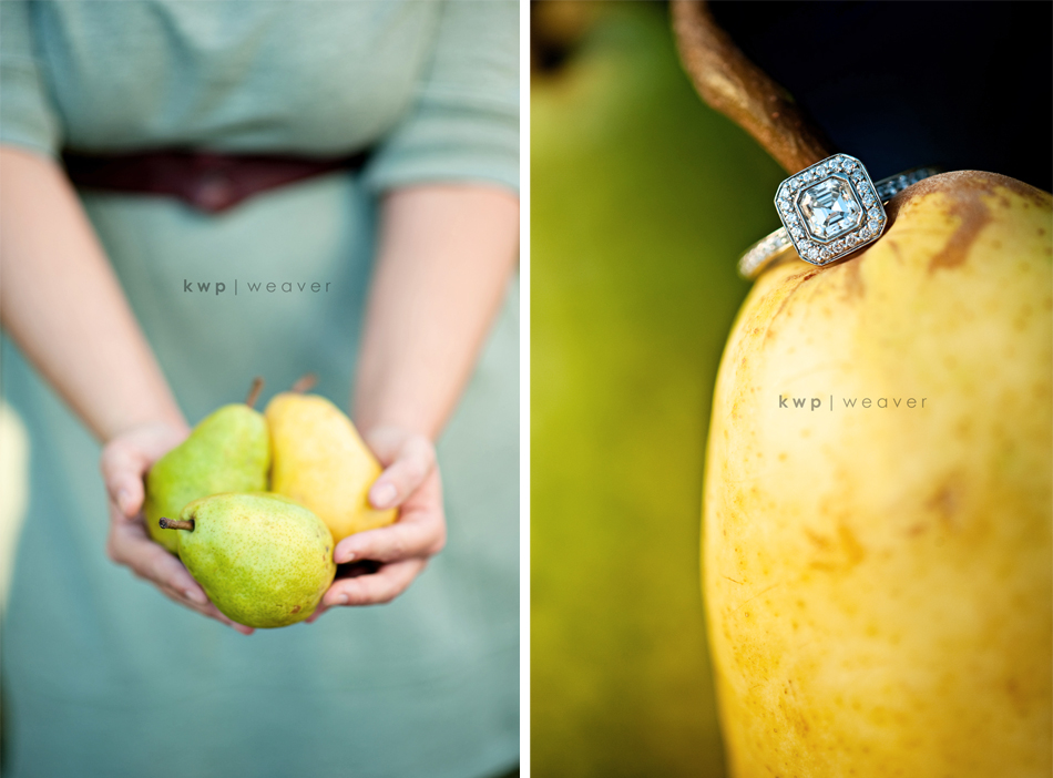 engagement photography engagement photography