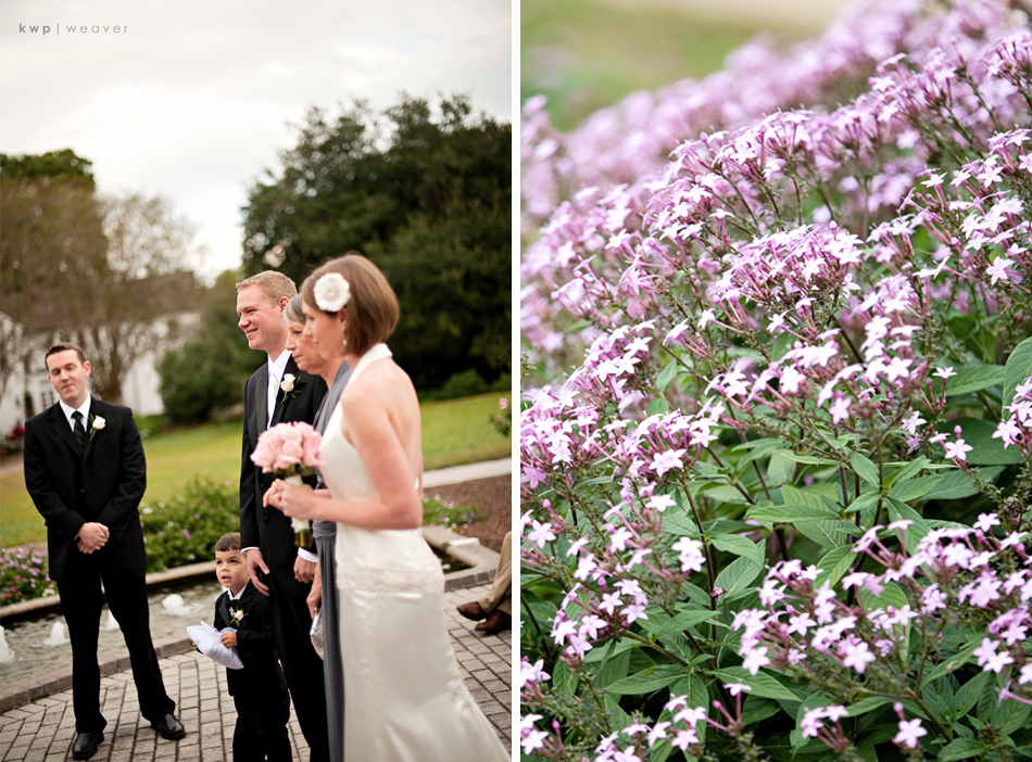 weddings photography weddings photography