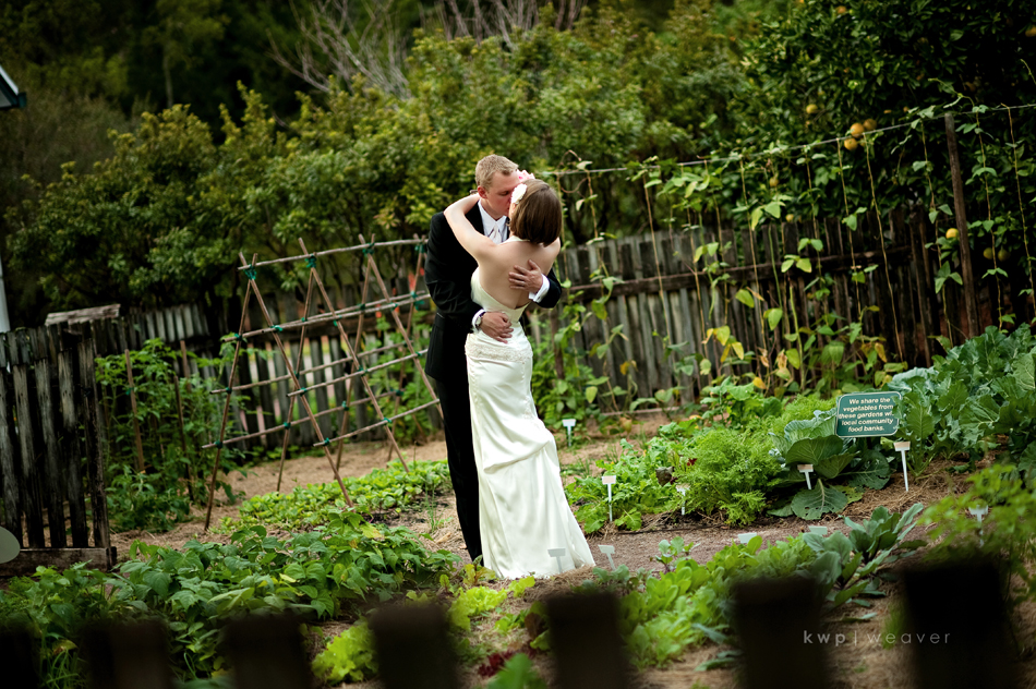 weddings photography weddings photography