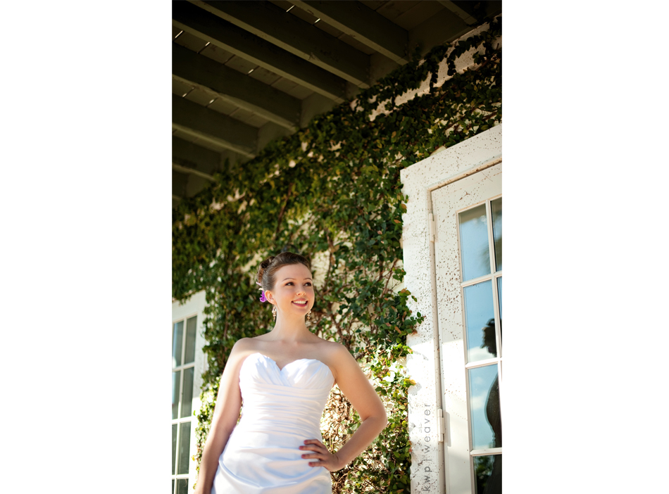 weddings photography weddings photography