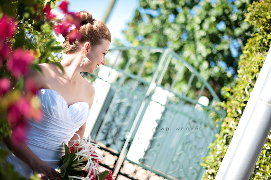 weddings photography weddings photography
