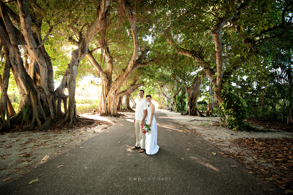 weddings photography weddings photography
