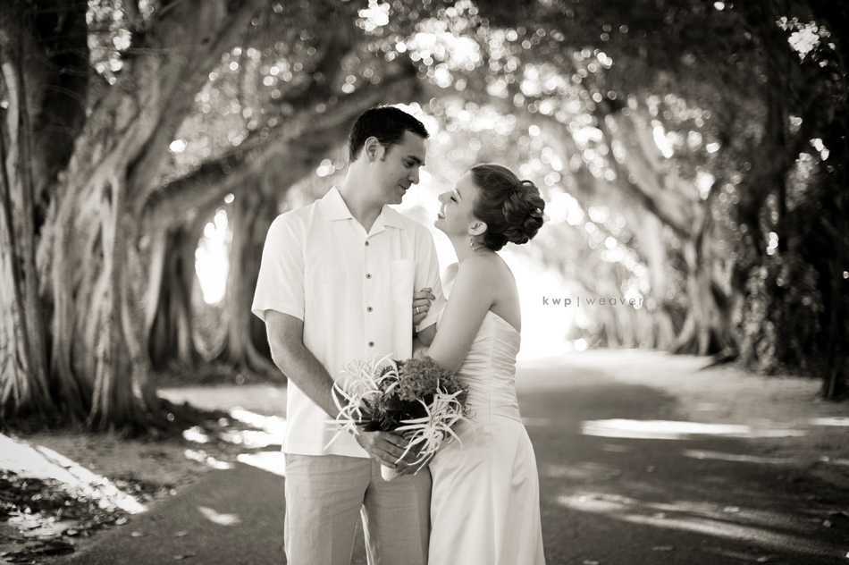 weddings photography weddings photography