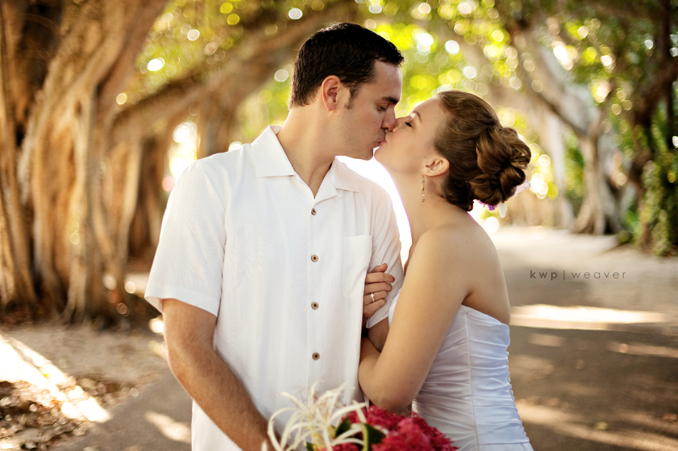weddings photography weddings photography