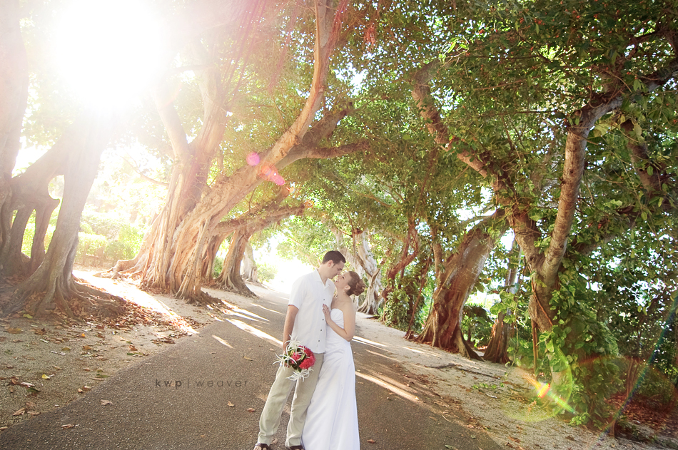 weddings photography weddings photography