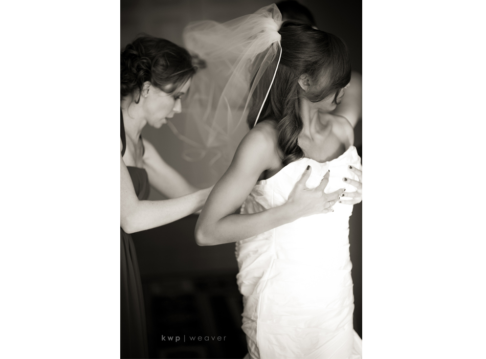 weddings photography weddings photography
