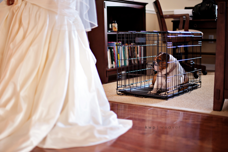 weddings photography weddings photography