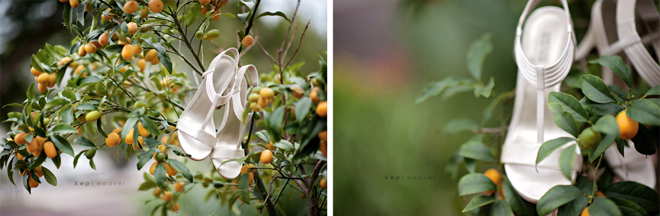 weddings photography weddings photography