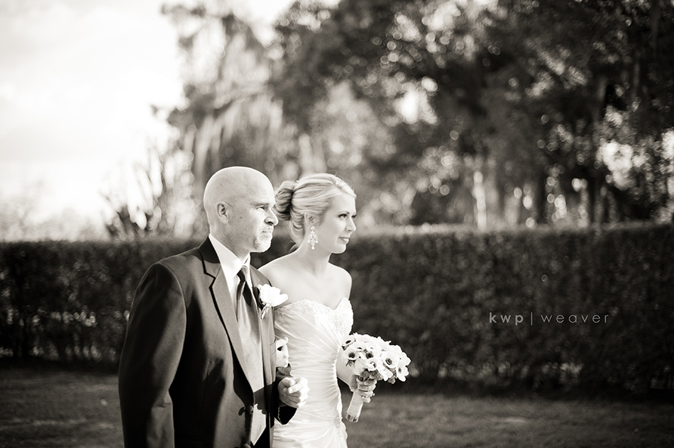 weddings  photography