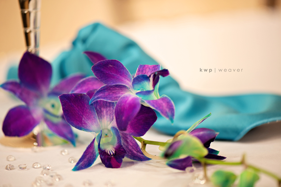 weddings  photography