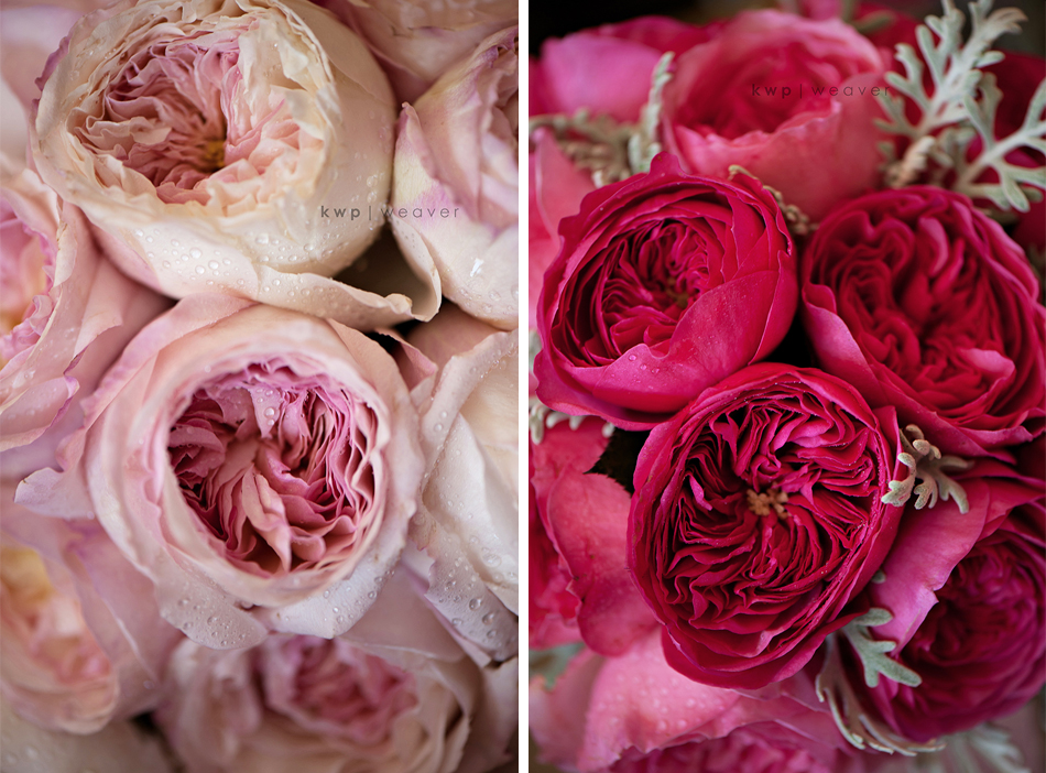 weddings  photography