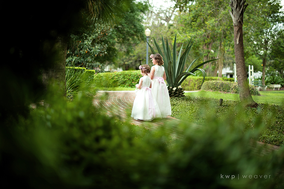 weddings  photography