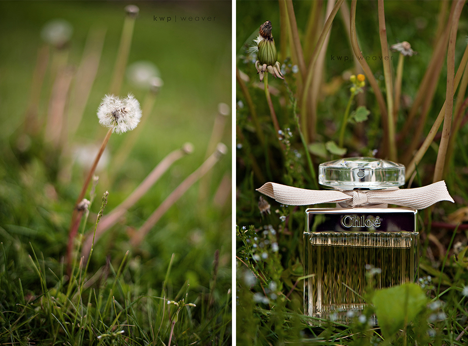 weddings  photography