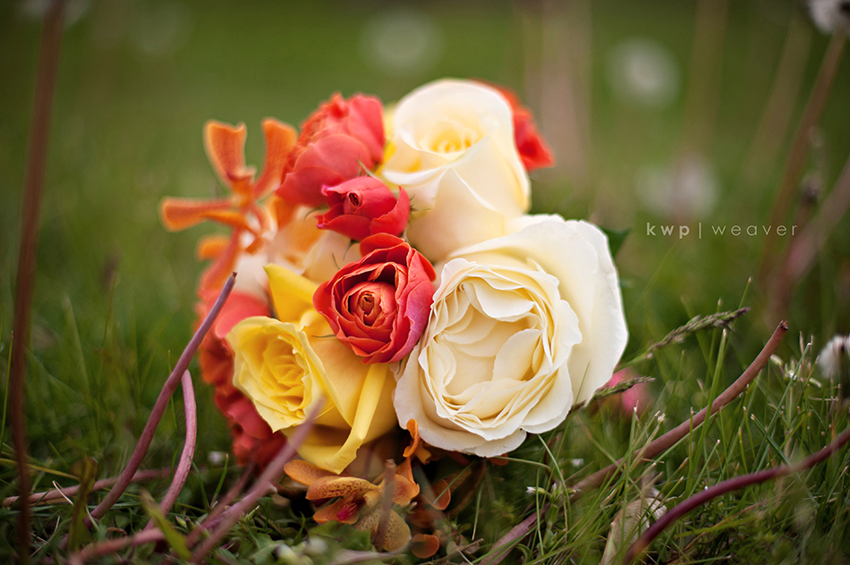 weddings  photography