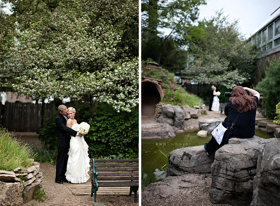 weddings  photography