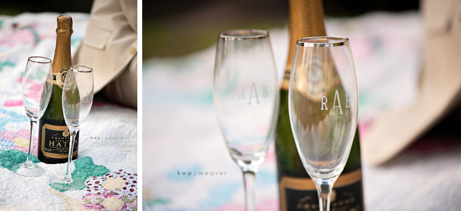 trash the dress  photography