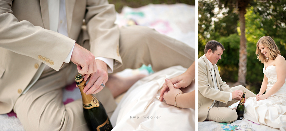 trash the dress  photography