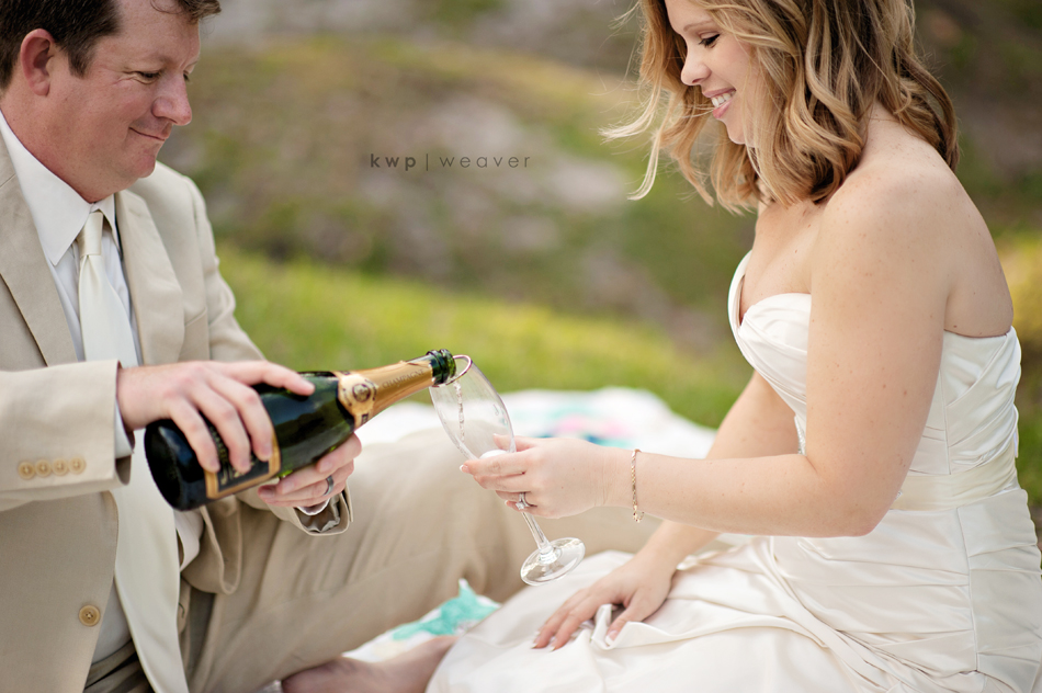 trash the dress  photography