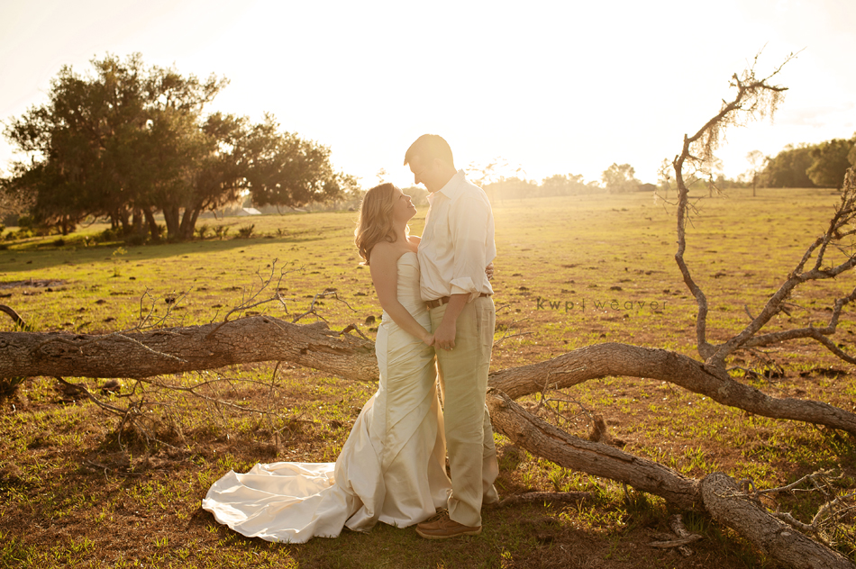 trash the dress  photography