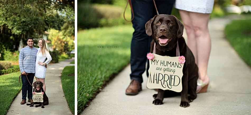 baldwin park engagement with dog